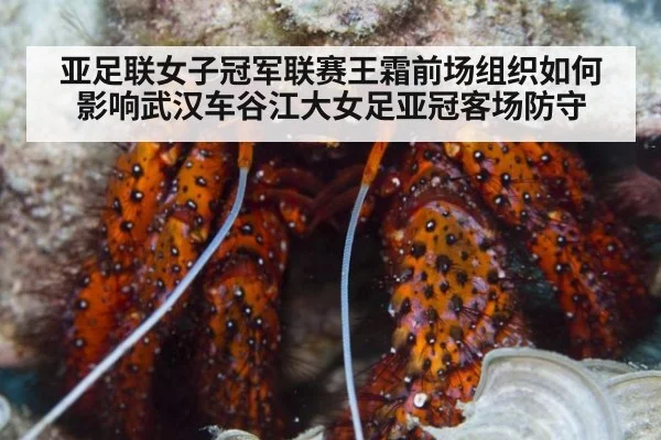 亚足联女子冠军联赛王霜前场组织如何影响武汉车谷江大女足亚冠客场防守